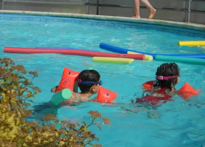 Zecamping 4 Etoiles Chiens Acceptes Tennis Piscine Chauffee Salles-Curan