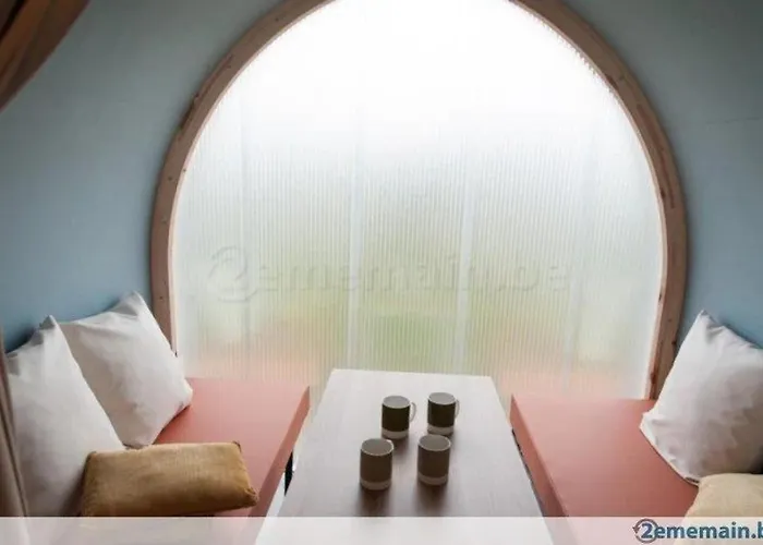 Zecamping 4 Etoiles Chiens Acceptes Tennis Piscine Chauffee Salles-Curan