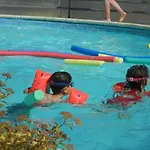 Zecamping 4 Etoiles Chiens Acceptes Tennis Piscine Chauffee ラグジュアリーテント Salles-Curan