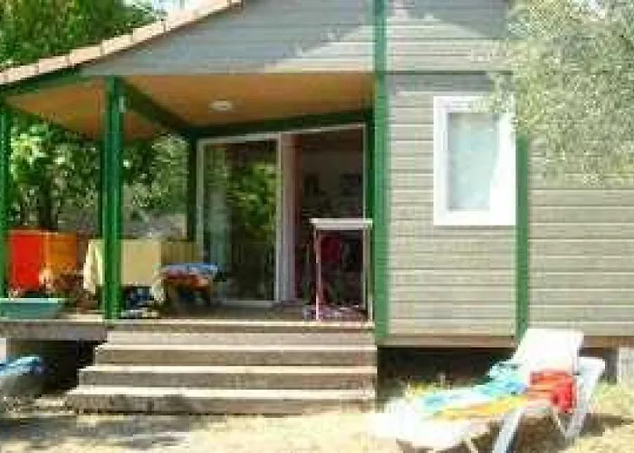 Zecamping 4 Etoiles Chiens Acceptes Tennis Piscine Chauffee