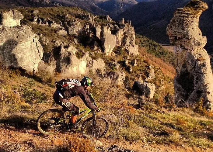 Zecamping 4 Etoiles Chiens Acceptes Tennis Piscine Chauffee 4*